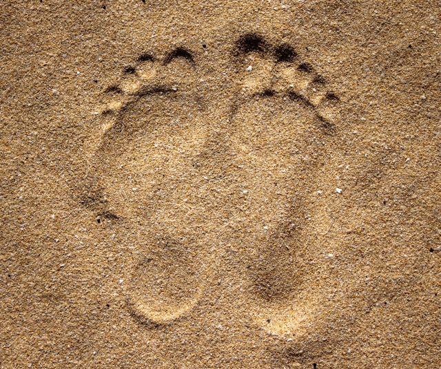 Feet
                        in Sand